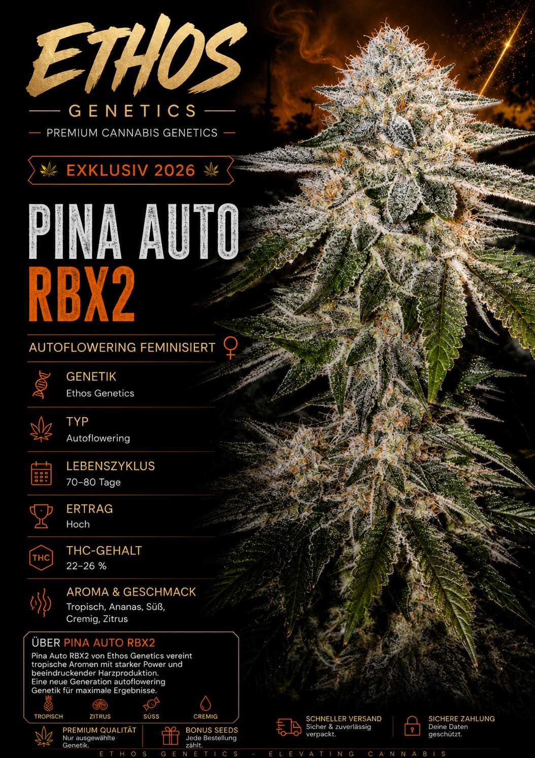 Pina RBx2 Auto – Image 1