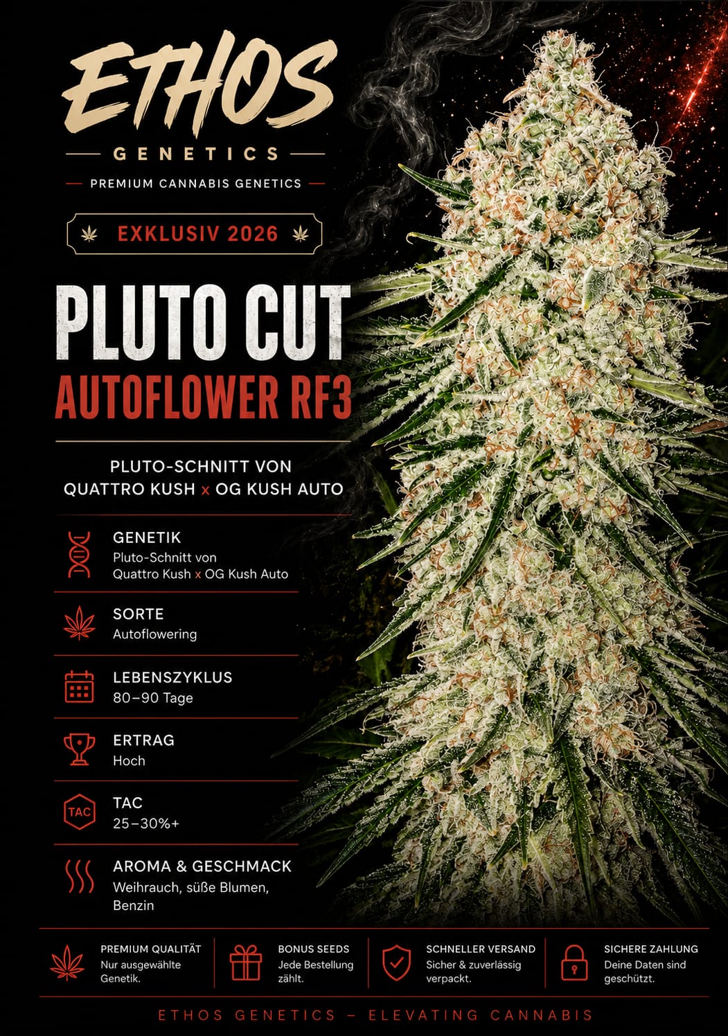 Pluto Cut Auto RF3 – Image 1