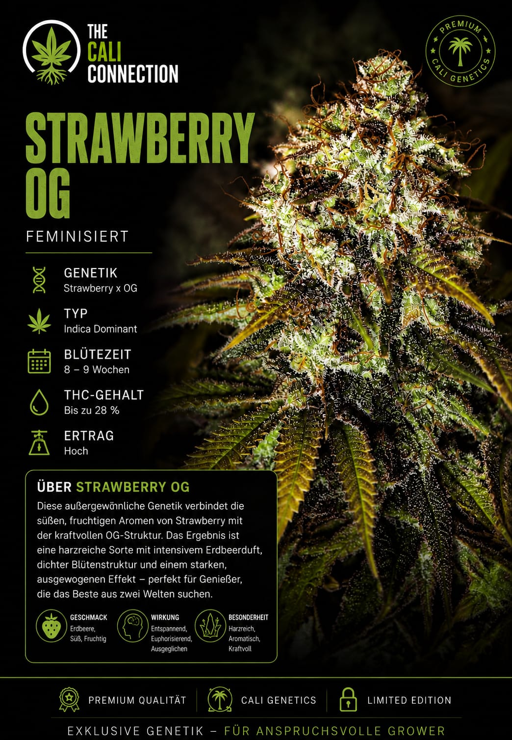 Strawberry OG – Image 1
