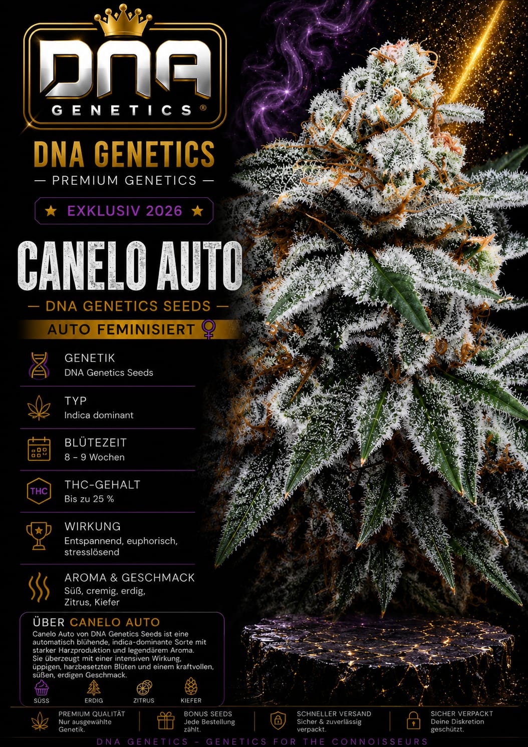 Canelo Auto – Image 1