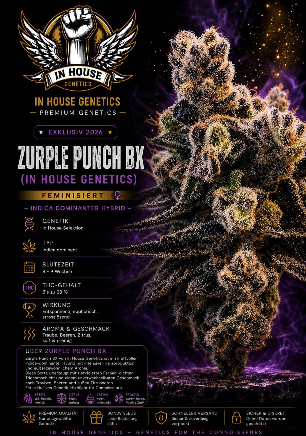 Zurple Punch BX – Image 1