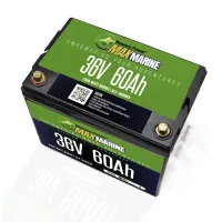 36V 60Ah – Image 2