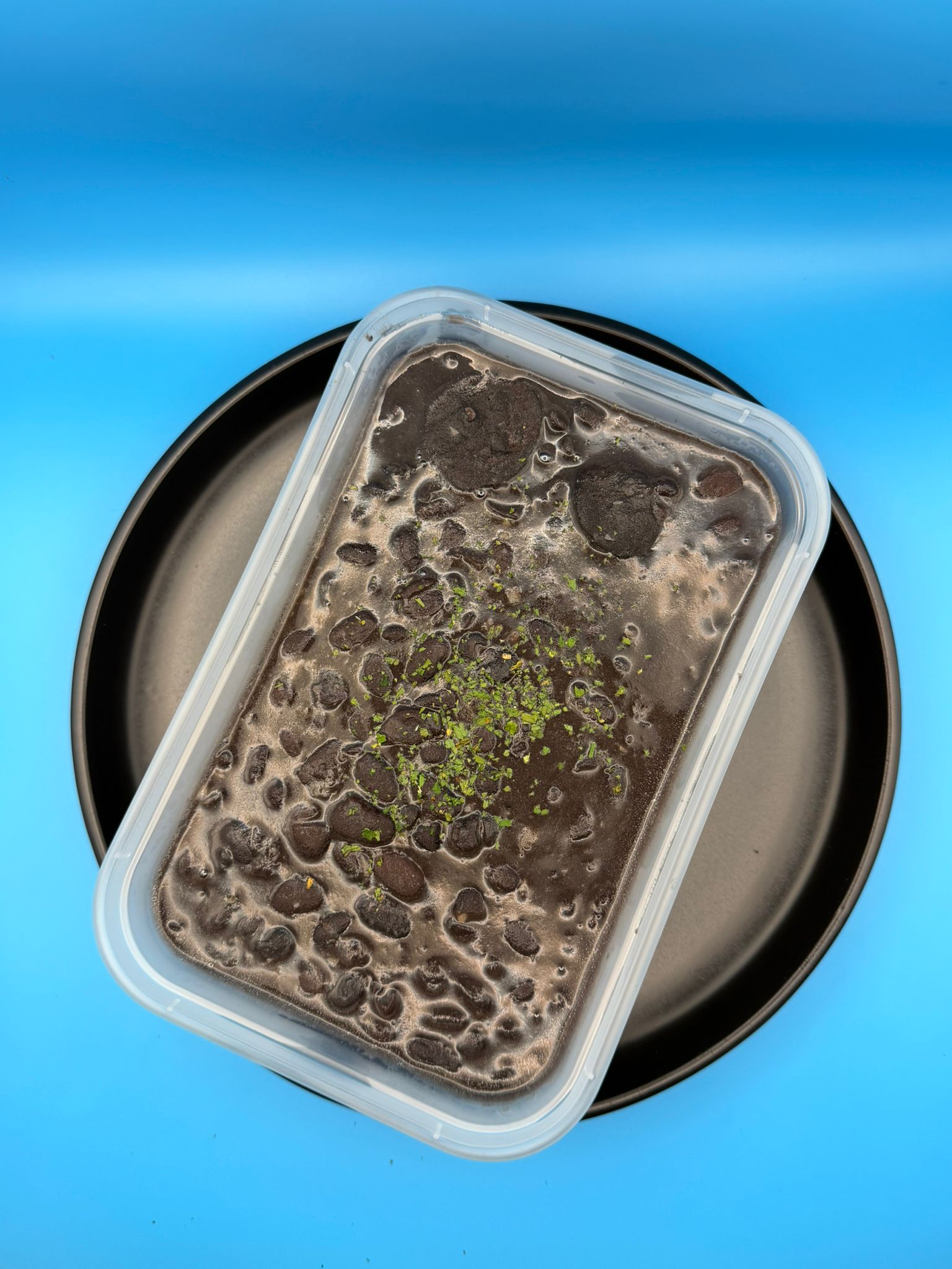 Black beans portion – Image 1
