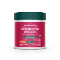 Daily Recovery Gummies – Image 3