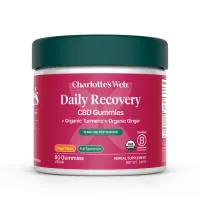 Daily Recovery Gummies – Image 1