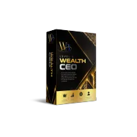 LEVEL 4 WEALTH CEO – Image 1