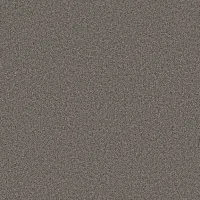 Stockade – Shadow