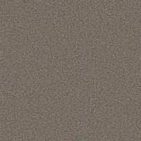 Stockade – Canyon