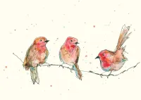 Threes a Crowd (3 Robins) – Image 1