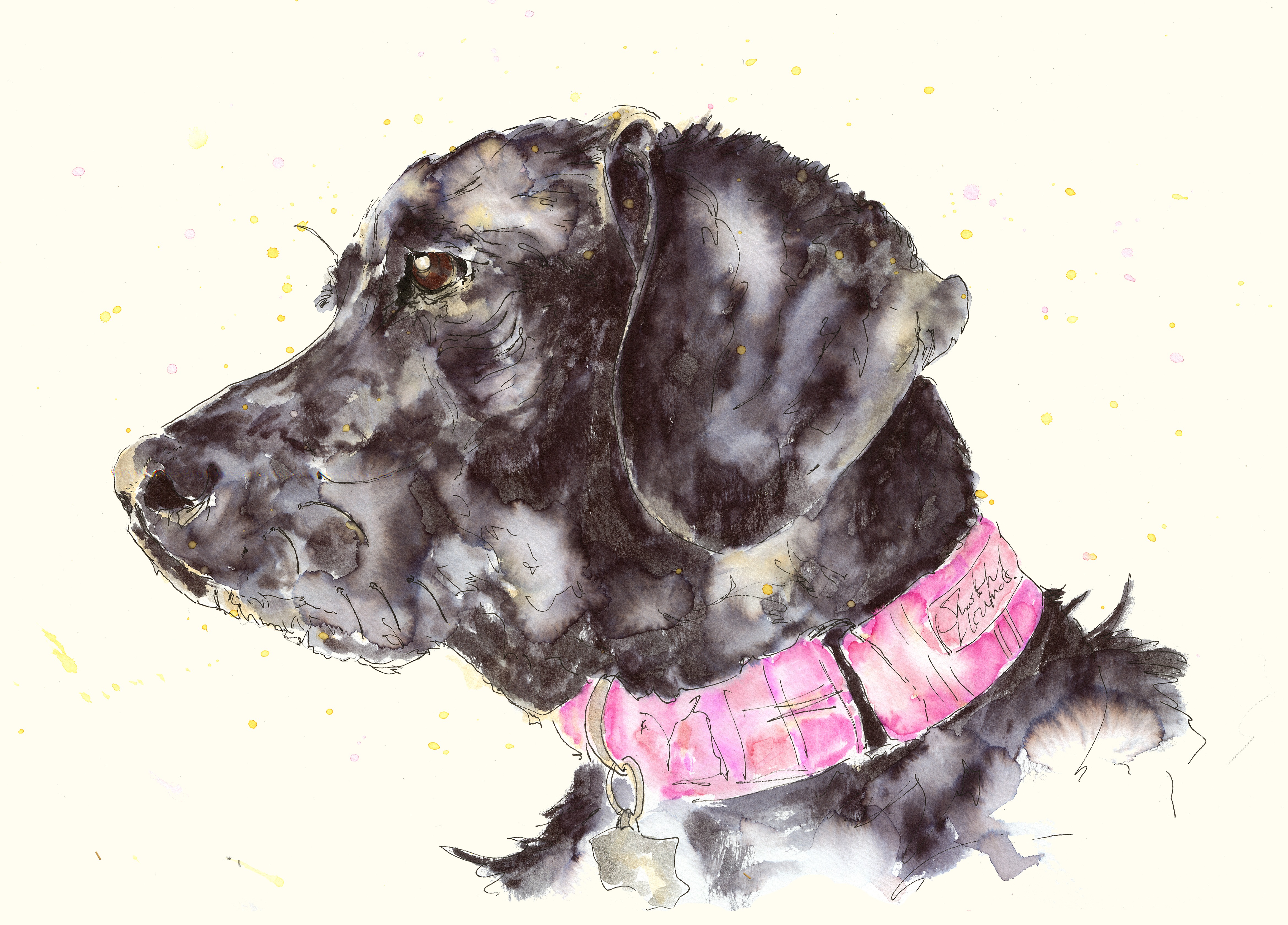 Solo Pawtrait - Signature – Image 1