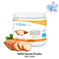 Wild Sweet Potato — U408 – Image 1