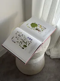 Flora Photographica – Image 3