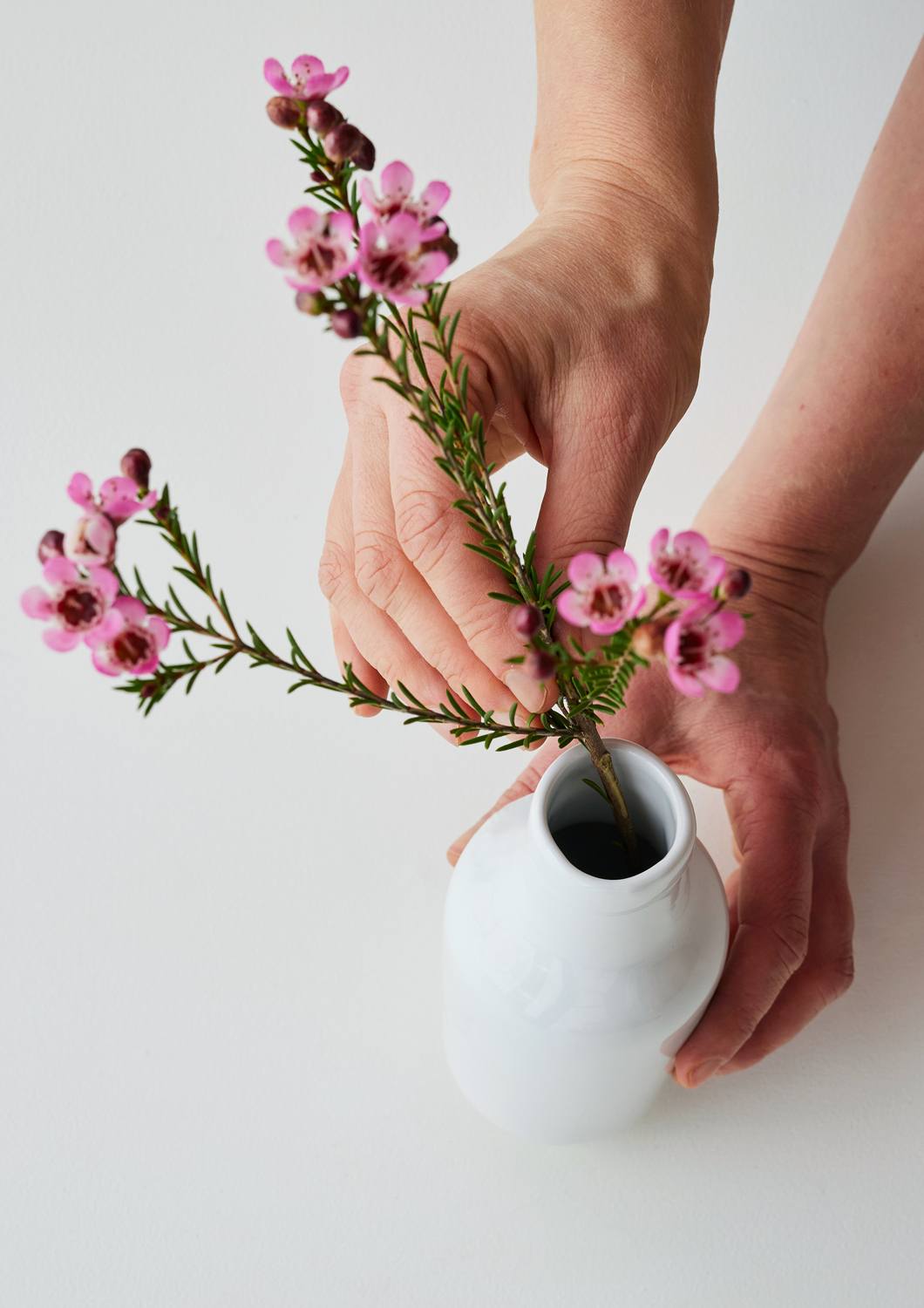 Botanic Vase – Image 4