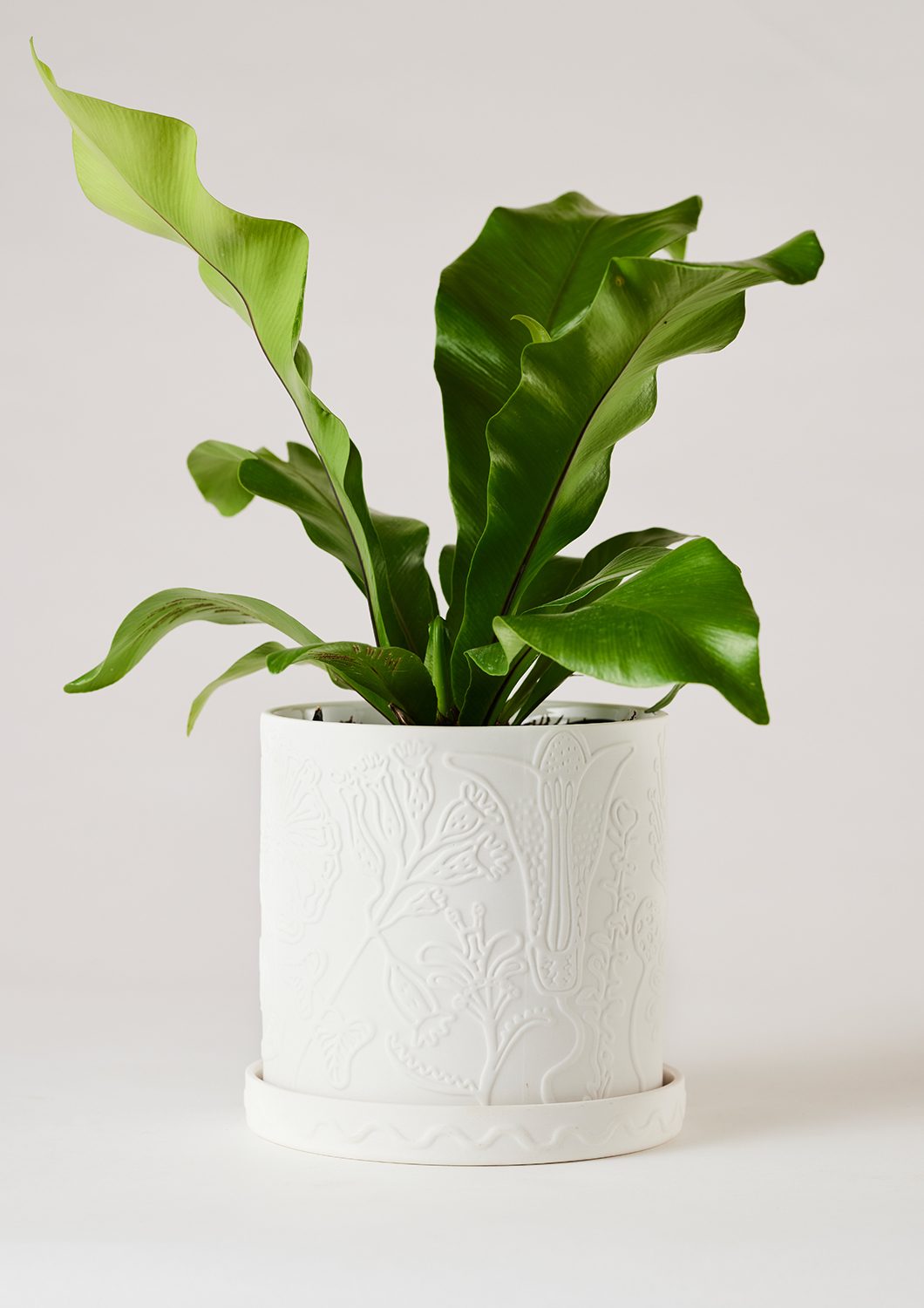Callista Plant Pot – Image 4
