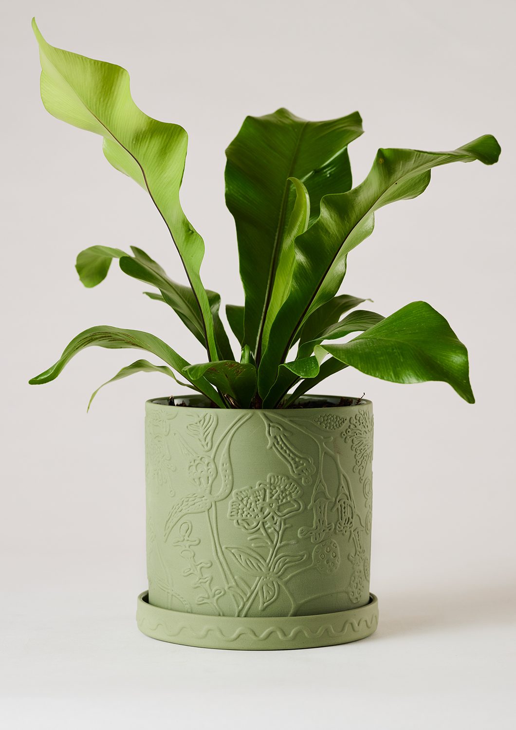 Callista Plant Pot – Image 2