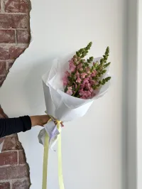 Seasonal En Masse – Image 2