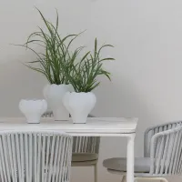 Aura Pot – Image 3