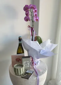 Pamper Them – Phalaenopsis Orchid Plant, Pink Vitamin C, Raspberry & Coconut, Flowers