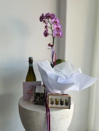 Spoil Them  – Phalaenopsis Orchid, Cashew Praline, Flowers