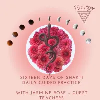 Sixteen Days of Shakti - begins 13th August – Image 1