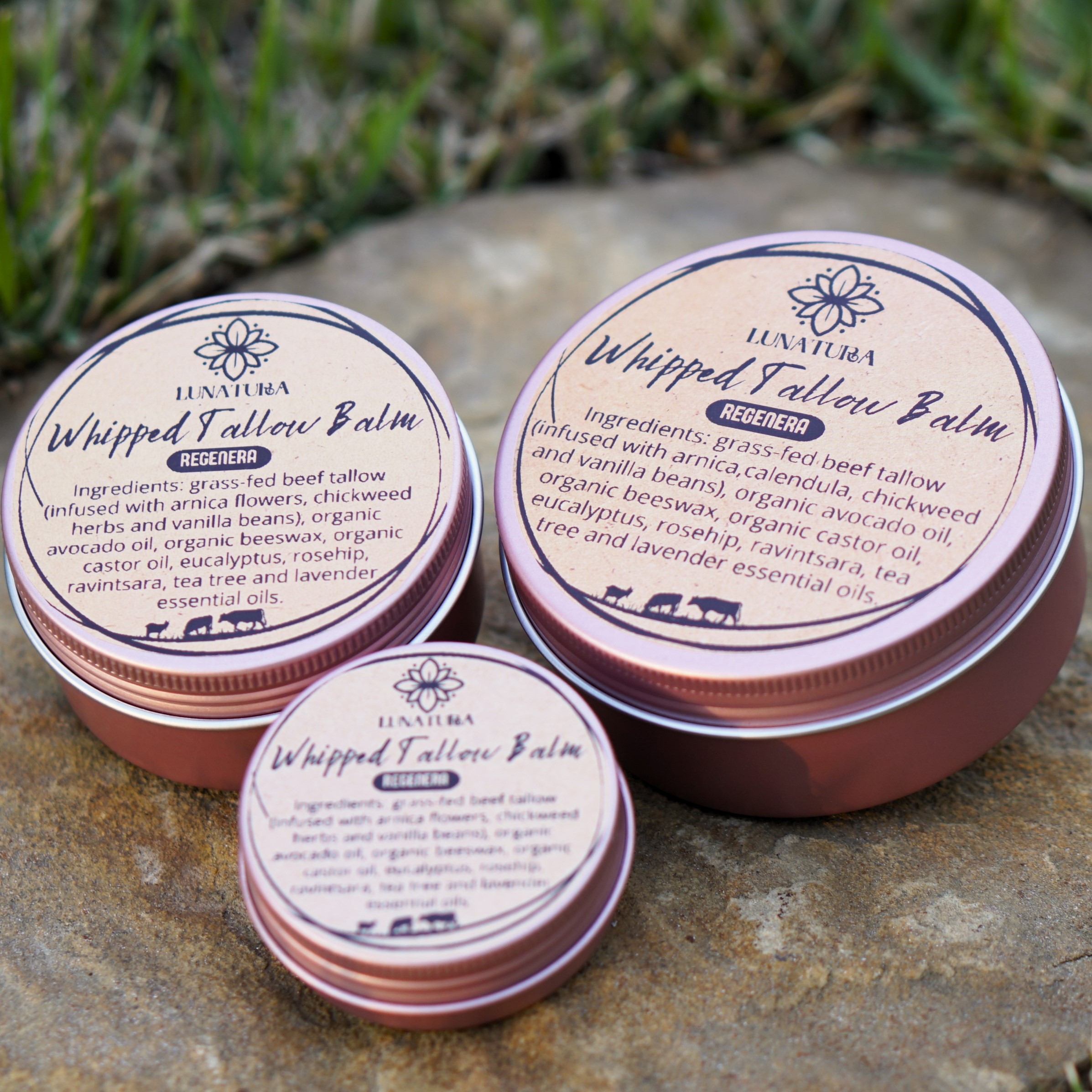 Regenera | Restorative Grass-Fed Tallow Balm – Image 3