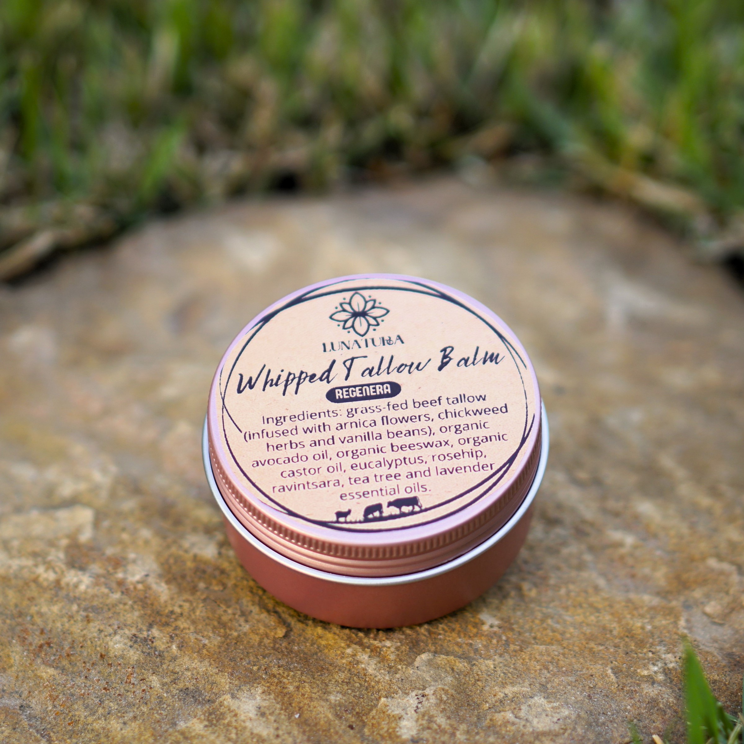 Regenera | Restorative Grass-Fed Tallow Balm – Image 2