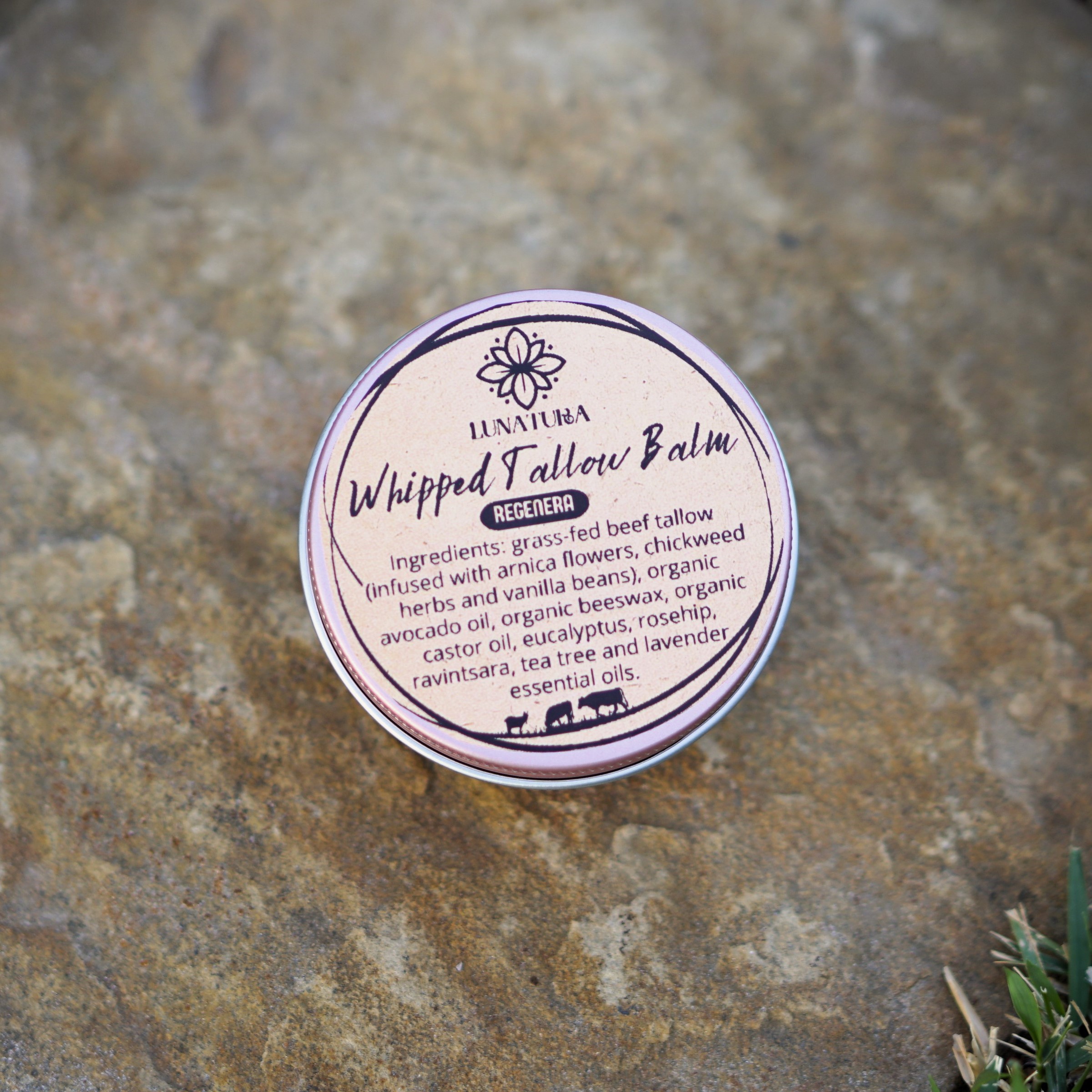 Regenera | Restorative Grass-Fed Tallow Balm – Image 6