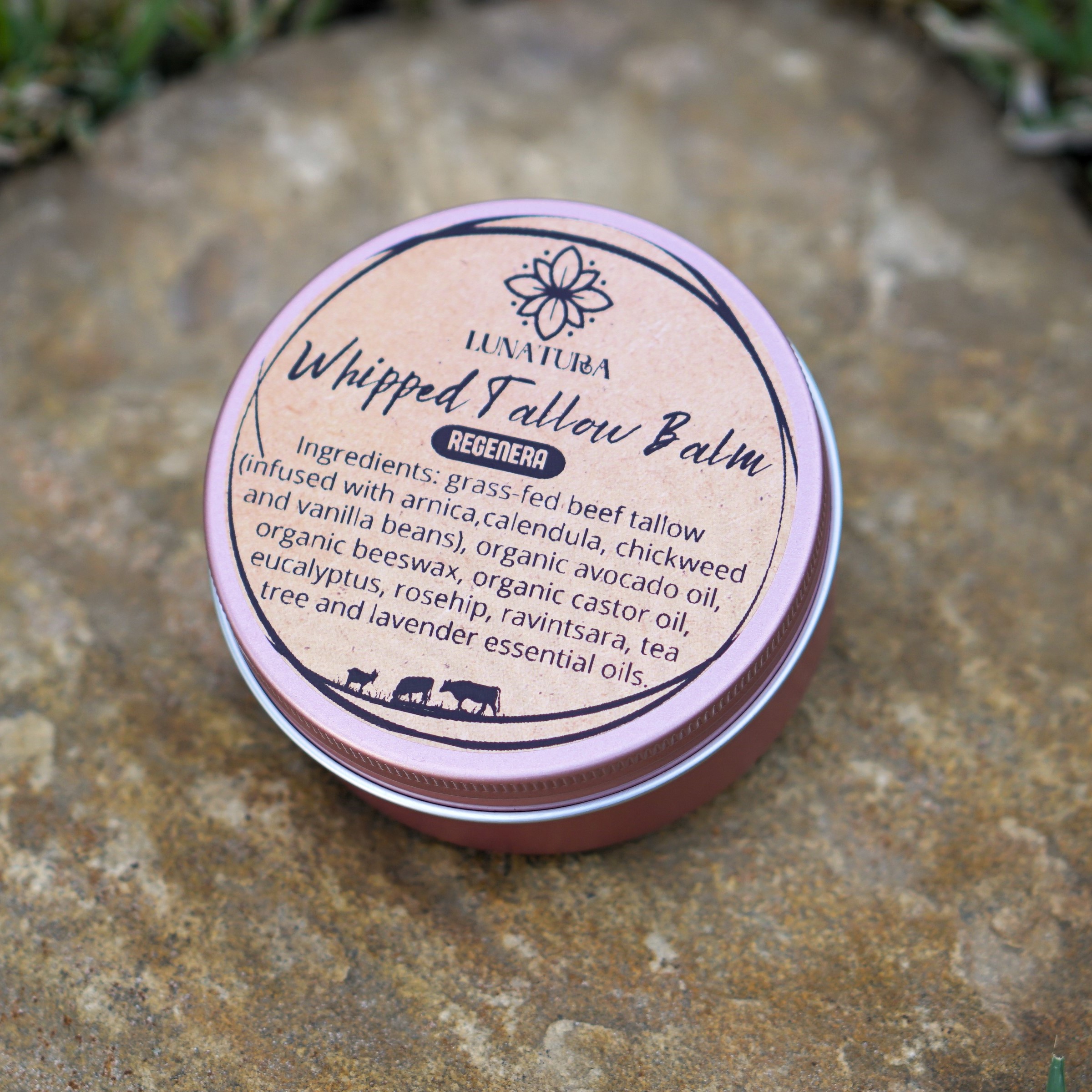 Regenera | Restorative Grass-Fed Tallow Balm – Image 5