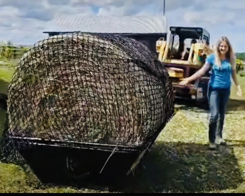K-Bale Cradle Hay Feeder are available - please message for shipping quote.   – Image 5