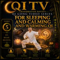 Qi TV – Grandmaster David’s Qi Gong Video Series – Image 6