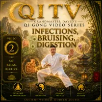 Qi TV – Grandmaster David’s Qi Gong Video Series – Image 3