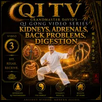 Qi TV – Grandmaster David’s Qi Gong Video Series – Image 4