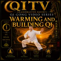 Qi TV – Grandmaster David’s Qi Gong Video Series – Image 2