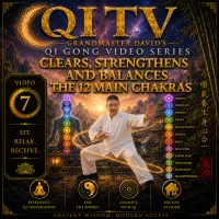 Qi TV – Grandmaster David’s Qi Gong Video Series – Image 8