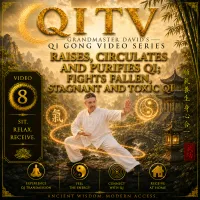 Qi TV – Grandmaster David’s Qi Gong Video Series – Image 9