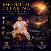 Shun Shen Tao Emotional Clearing Classes | Grandmaster David – Image 1
