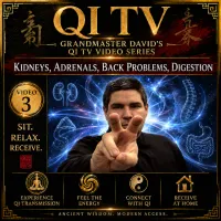 Qi TV – Grandmaster David’s Qi Gong Video Series – Image 4