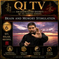Qi TV – Grandmaster David’s Qi Gong Video Series – Image 7