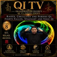 Qi TV – Grandmaster David’s Qi Gong Video Series – Image 9