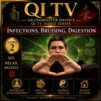 Qi TV – Grandmaster David’s Qi Gong Video Series – Image 3