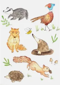 Animals In The Cotswolds Print A5 – Image 1