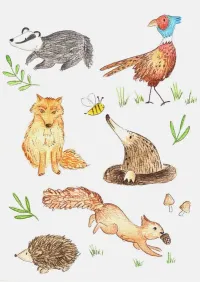 Animals In The Cotswolds Print A5 – Image 2