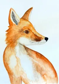 Fox Watercolour Illustration A5 – Image 1