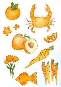 Orange Collection Print A5 – Image 1