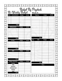 Bi-Weekly Budget Planner and Organizer – Image 2