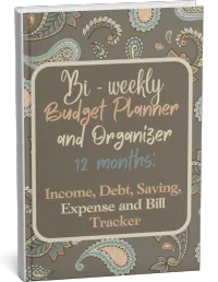 Bi-Weekly Budget Planner and Organizer – Image 1