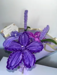 Argaman Elegance – Image 2