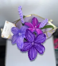 Argaman Elegance – Image 3