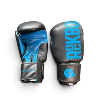 14oz Premium Boxing Gloves – Image 1