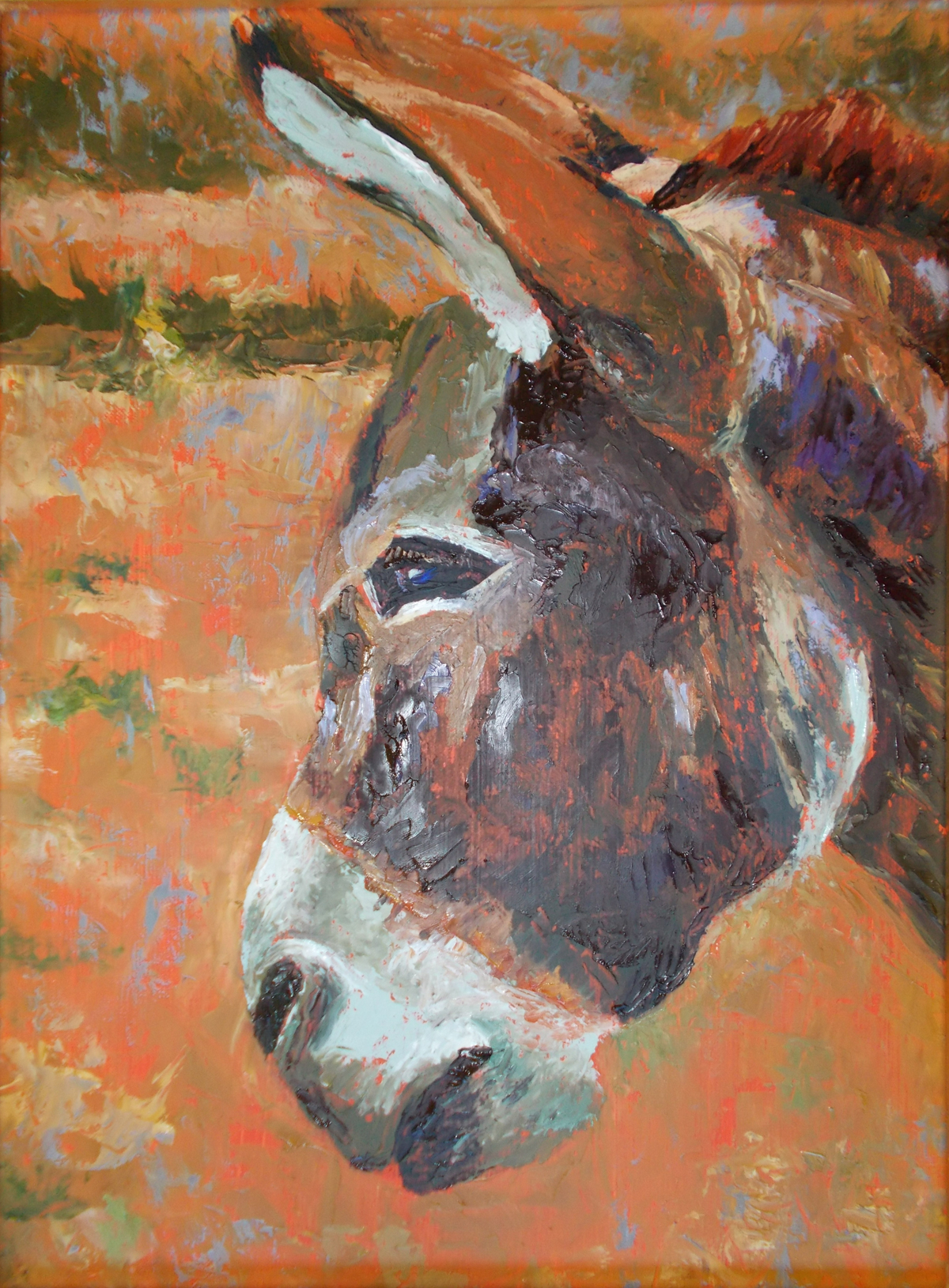 Burro In Profile – Image 2